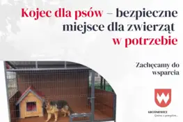 Kojec dla psów – bezpieczne miejsce dla zwierząt w potrzebie