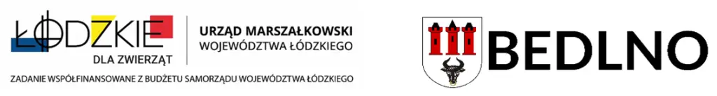 Gmina Bedlno: bezpłatna sterylizacja i czipowanie zwierząt – trwa nabór wniosków