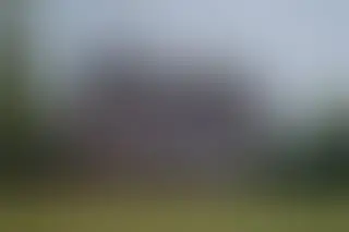Baseballiści powalczą o Puchar Polski w Kutnie