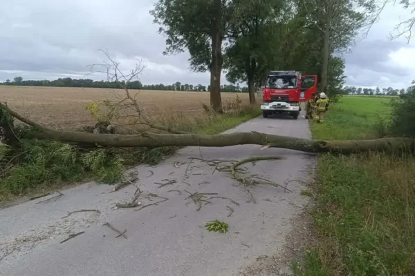 OSP Łanięta usuwa powalone drzewo w Klinach