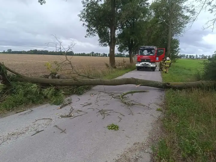 OSP Łanięta usuwa powalone drzewo w Klinach