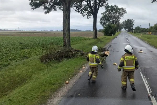 OSP Łanięta usuwa złamaną gałąź po porannym zgłoszeniu