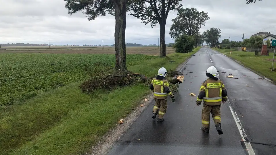 OSP Łanięta usuwa złamaną gałąź po porannym zgłoszeniu