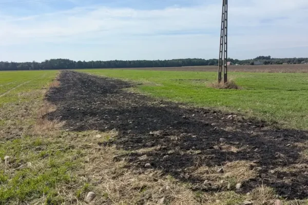 Pożar trawy w Franciszkowie – interwencja OSP Łanięta i JRG Kutno