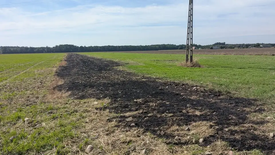 Pożar trawy w Franciszkowie – interwencja OSP Łanięta i JRG Kutno