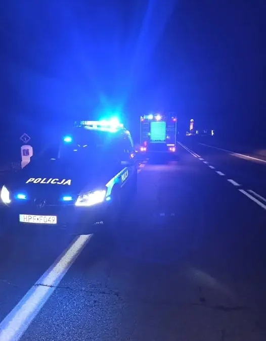 Interwencja OSP Krośniewice w Pomarzanach – miejscowe zagrożenie