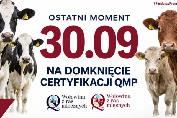 Certyfikat QMP do 30 września – rolnicy bez dokumentu stracą dopłaty