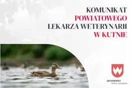 Powiatowy Lekarz Weterynarii w Kutnie ostrzega: nie dotykaj padłych ptaków
