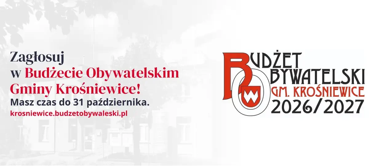 Budżet Obywatelski Gminy Krośniewice – zagłosuj do 31 października