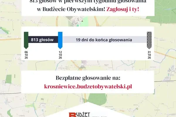 Budżet Obywatelski Krośniewic: 813 głosów w pierwszym tygodniu, do końca zostało 19 dni