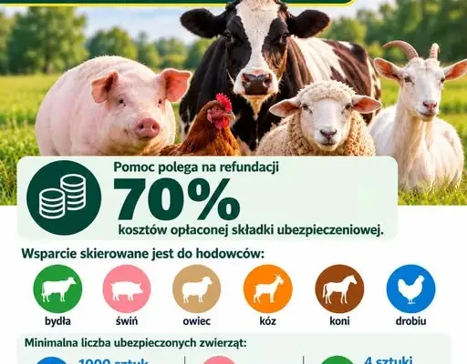 Hodowcy mają czas tylko do 13 października. ARiMR zwraca 70% składki za ubezpieczenie zwierząt