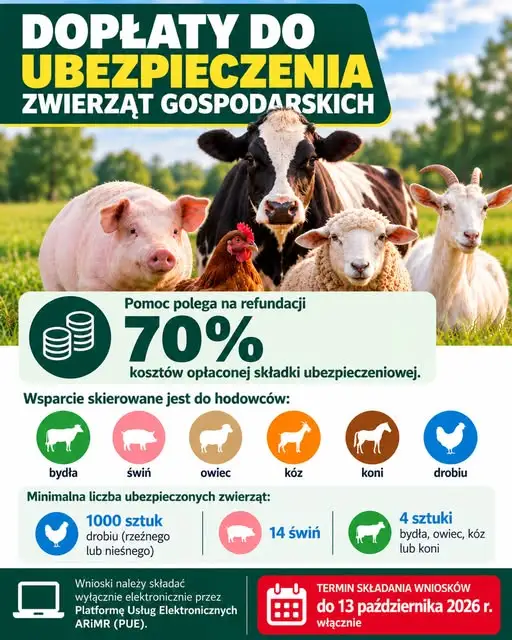 Hodowcy mają czas tylko do 13 października. ARiMR zwraca 70% składki za ubezpieczenie zwierząt