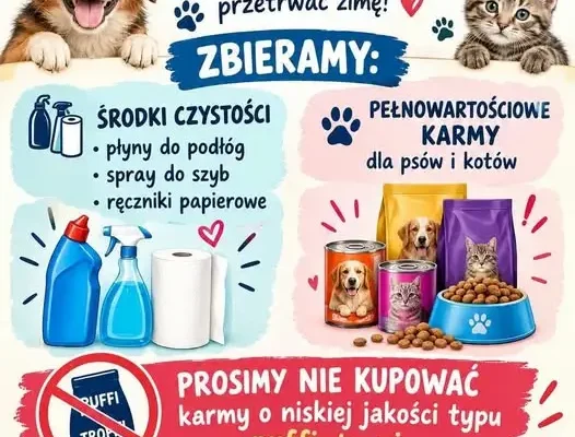 Uczniowie z Dąbrowic zbierają dary dla schroniska „Cztery Łapy” w Żychlinie
