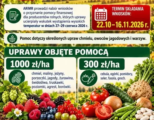 ARiMR wypłaci rolnikom rekompensaty za upały. Wnioski tylko do 16 listopada